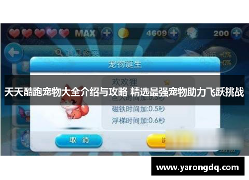 天天酷跑宠物大全介绍与攻略 精选最强宠物助力飞跃挑战